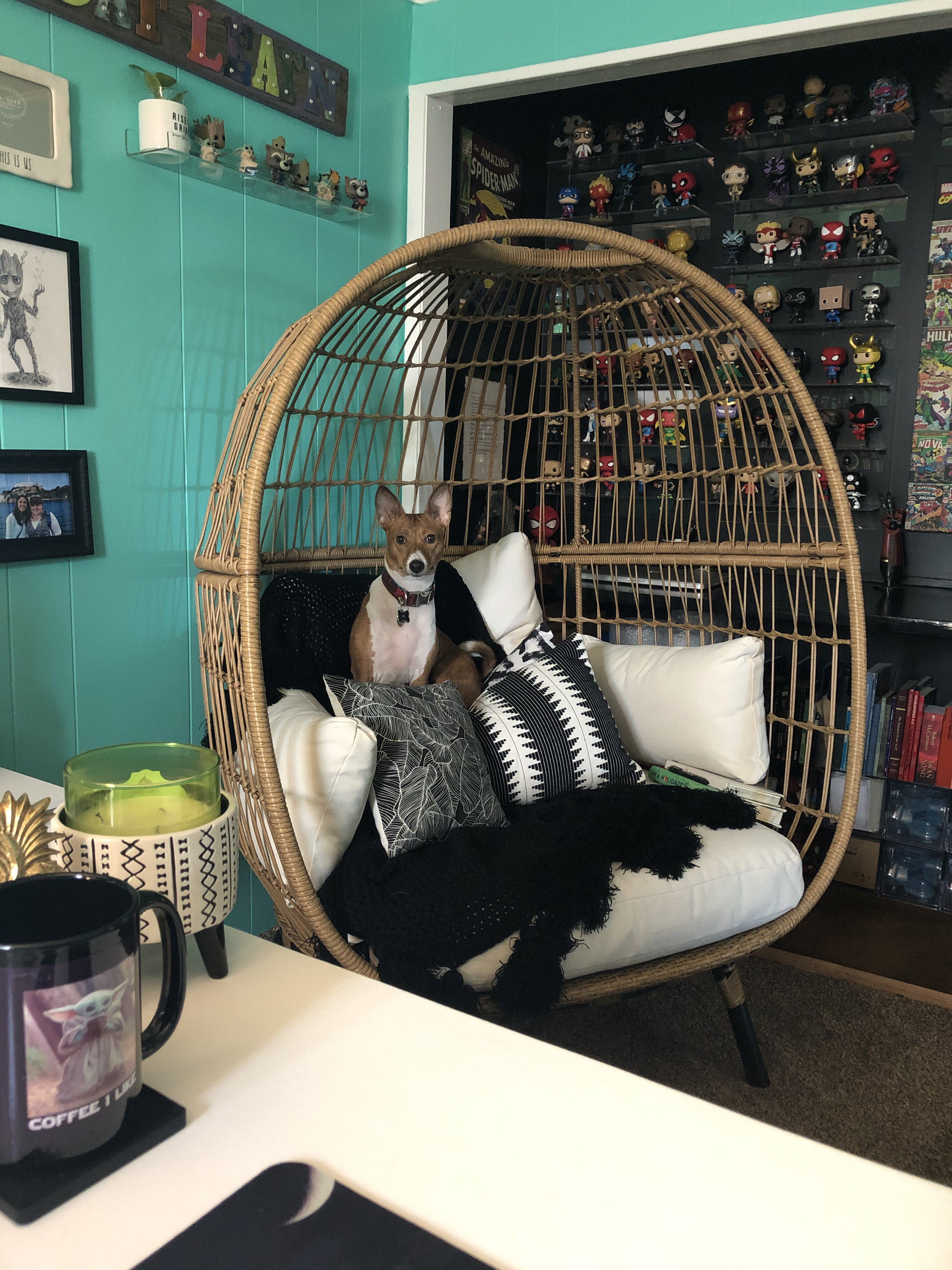 My dog sitting in an egg chair in my office