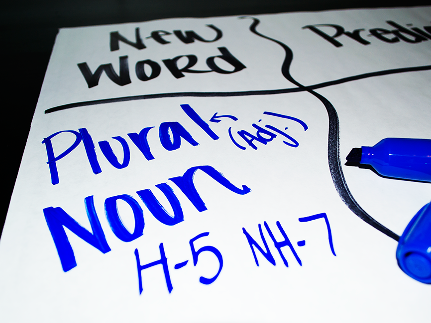 Introduce Words using a CCD Introduce Words using a CCD