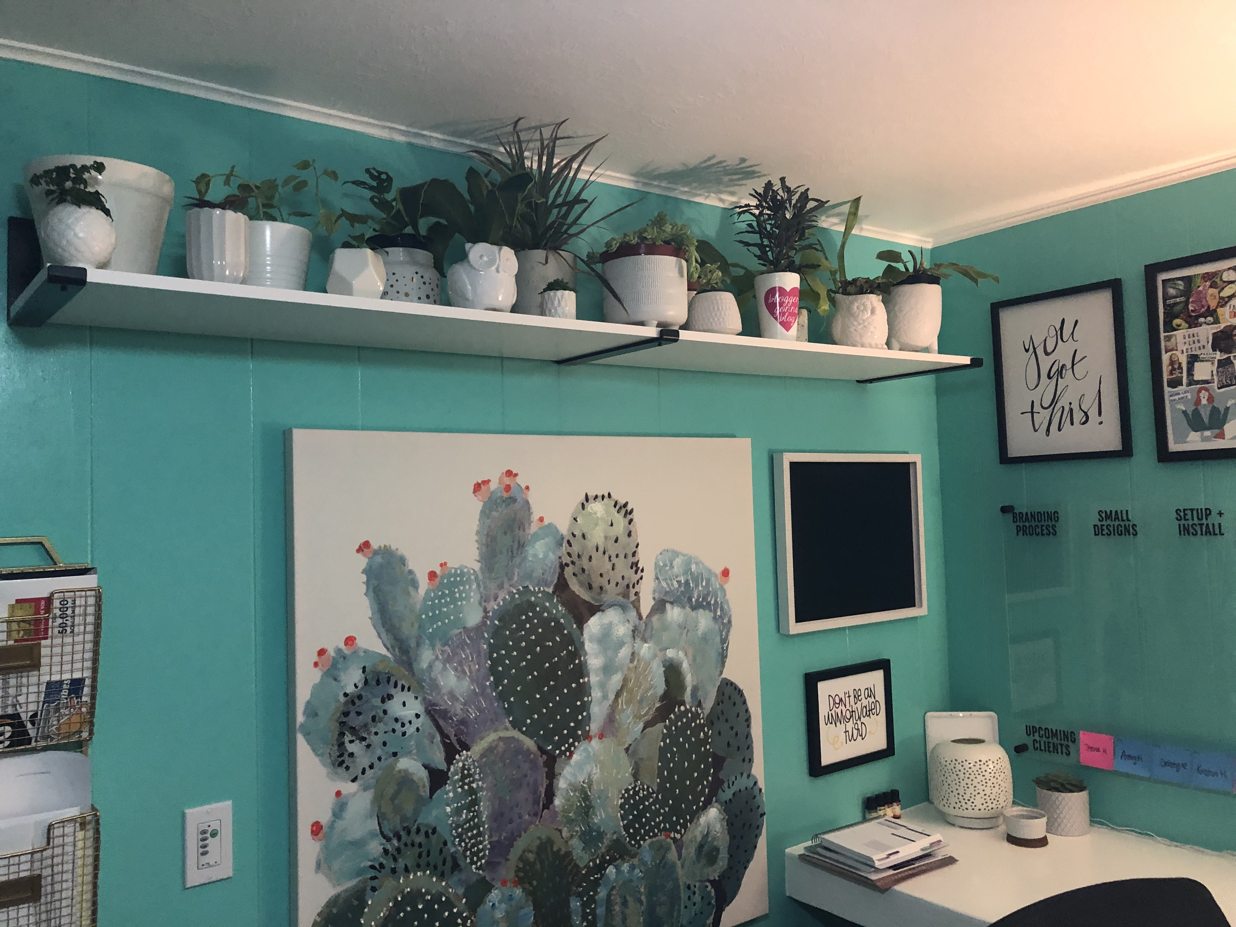 Plants above my desk in my home office setup