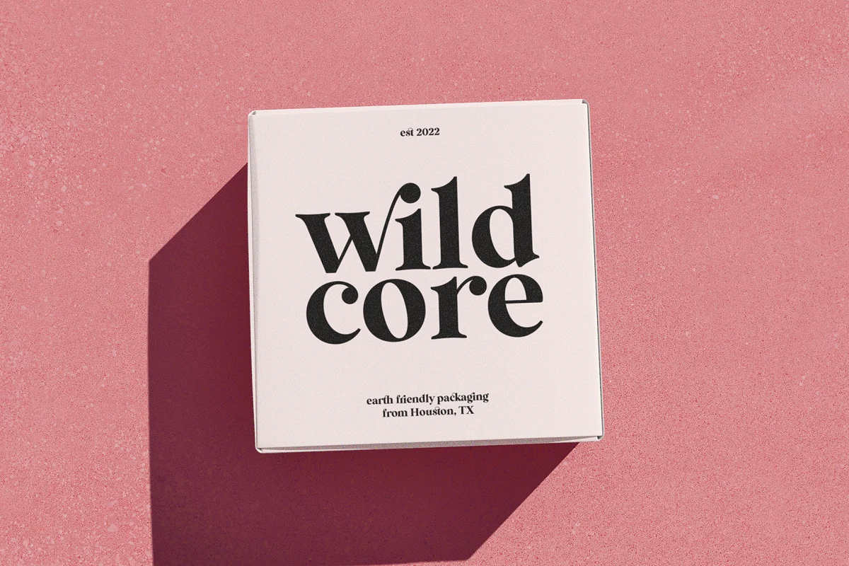 Need a new font for the new year? Want to update your brand? Check out the popular fonts of 2023.